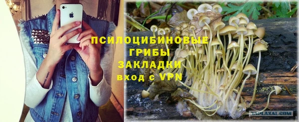 ALPHA PVP Балахна