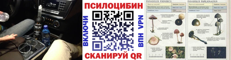 Псилоцибиновые грибы Psilocybe  Новый Оскол 